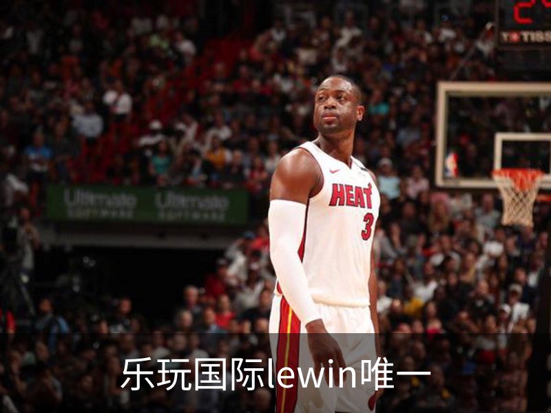 乐玩国际lewin唯一概况